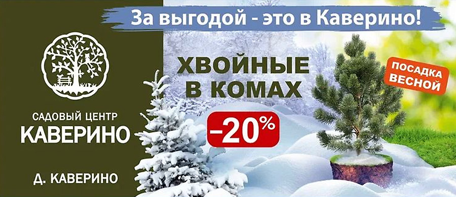     ѻ