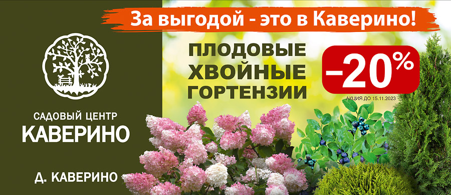     ѻ