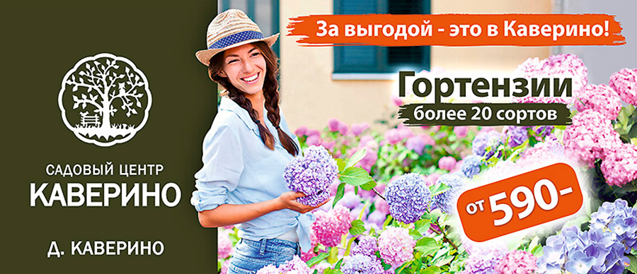 Питомник «КАВЕРИНО плантс». Садовый центр KAVERINO plants - растения ...